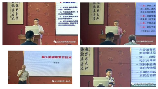 汕头市狮头鹅产业协会开展“狮头鹅科学养殖技术”培训