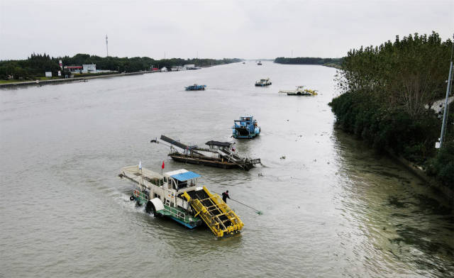 苏浙沪三地的保洁船在太浦河水域联合清理水面浮游植物（2020年10月15日摄，无人机照片）。当日，来自苏州市吴江区、上海市青浦区和嘉兴市嘉善县的三名河长在位于长三角生态绿色一体化发展示范区的苏浙沪交界水域太浦河流域附近开展联合巡河活动。新华社记者 方喆 摄