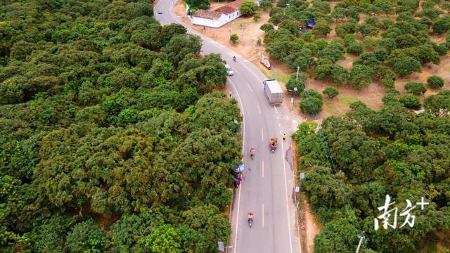 茂名荔枝现代农业产业园