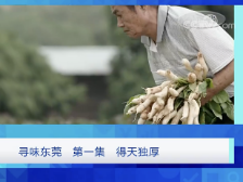 《寻味东莞》再登央视，中秋佳节一起“揾食”