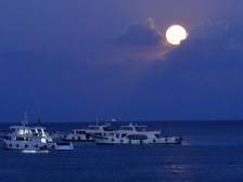 那些年，与我们相伴的诗词之月｜海风