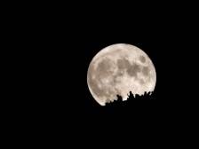 一天明月白如霜｜行游