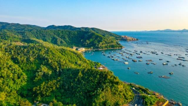 公园总数达1260个！“公园里的深圳”爱了爱了！| 穿行“山海”逛深圳④