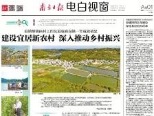 建设宜居新农村 深入推动乡村振兴|速览《南方日报·电白视窗》93期