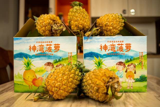 神湾菠萝 神湾菠萝