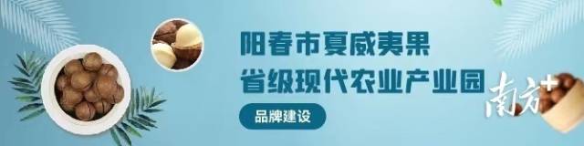 中秋团圆夜，解锁阳春夏威夷果的花样吃法吧！