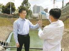 全国“人民满意的公务员”杨智辉：做绿水青山的坚定“守护者”