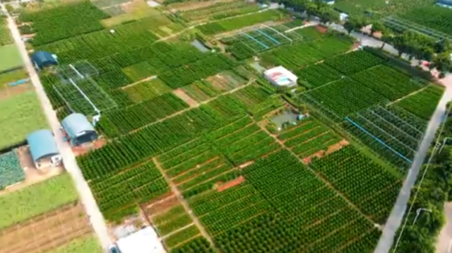 Hi 我在榄核的第97天