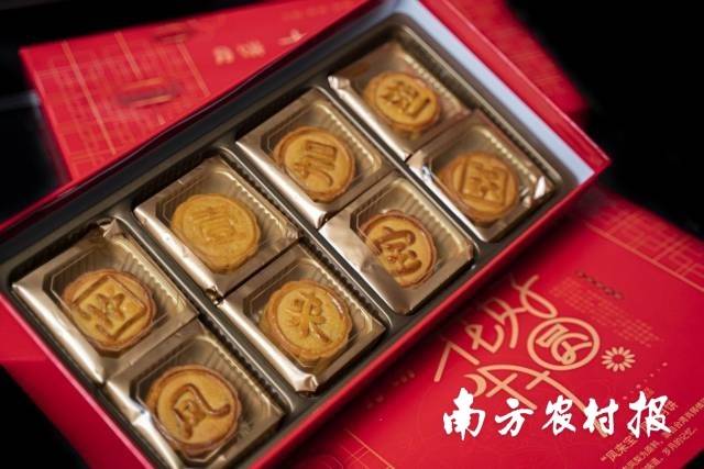 “凤来宝”凤梨月饼。受访者供图