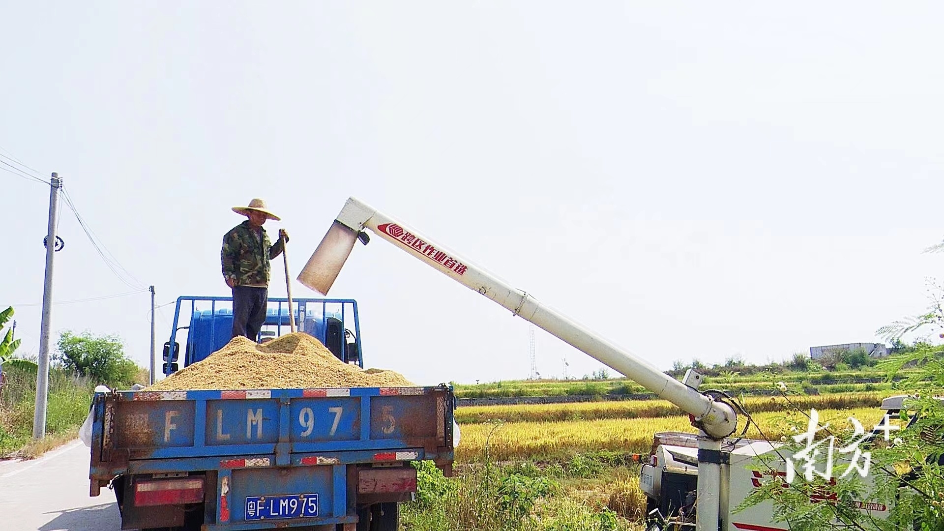 韶关首个全国农作物病虫害绿色防控示范基地迎丰收