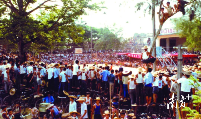 20世纪70年代,常平镇一场篮球比赛上有人爬上树观看。 20世纪70年代,常平镇一场篮球比赛上有人爬上树观看。