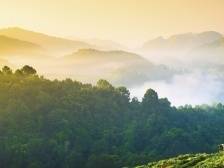 人与自然和谐共生的现代化