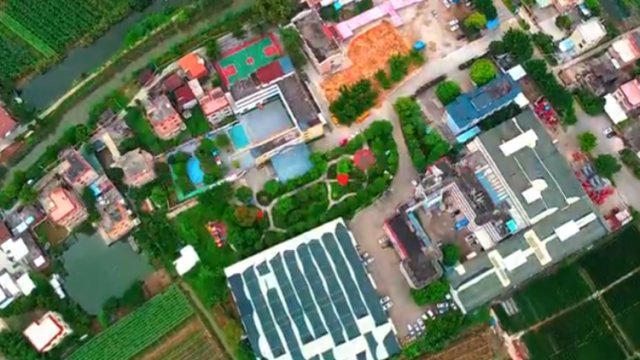 Hi 我在榄核的第98天