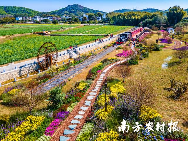 通过发展都市农业,广州把“三农”短板变成乡村振兴的潜力板 通过发展都市农业,广州把“三农”短板变成乡村振兴的潜力板