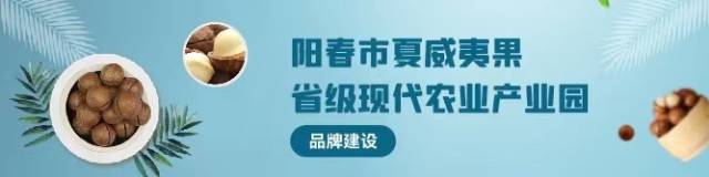 图集｜金秋丰收忙，夏果剥青衣