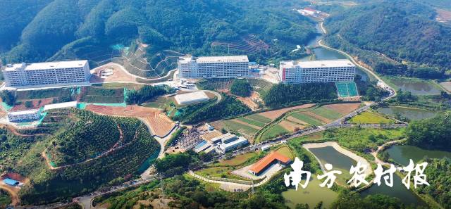 广州金农现代农业有限公司通过楼房养猪让生产更加集约化、管理更加精细化。 广州金农现代农业有限公司通过楼房养猪让生产更加集约化、管理更加精细化。