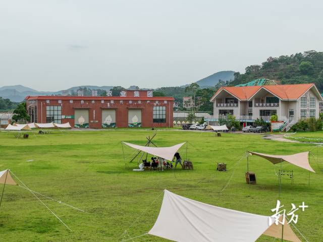 广州创鲜农业发展有限公司以番石榴种植基地为基础设置旅游采摘体验区,游客可在此露营、野餐、钓鱼、采摘番石榴。 广州创鲜农业发展有限公司以番石榴种植基地为基础设置旅游采摘体验区,游客可在此露营、野餐、钓鱼、采摘番石榴。