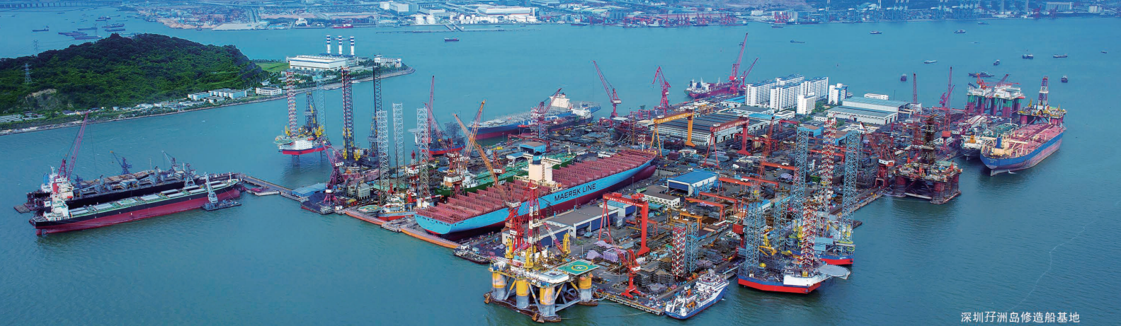 2020年中国信保深圳分公司成功出具全国首张关税保函