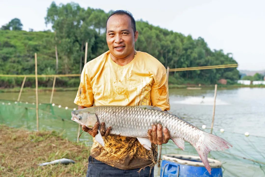 丰收的喜悦。赖家乐 摄 丰收的喜悦。赖家乐 摄