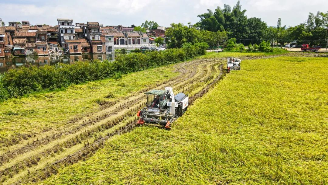 陈彦成 摄 陈彦成 摄