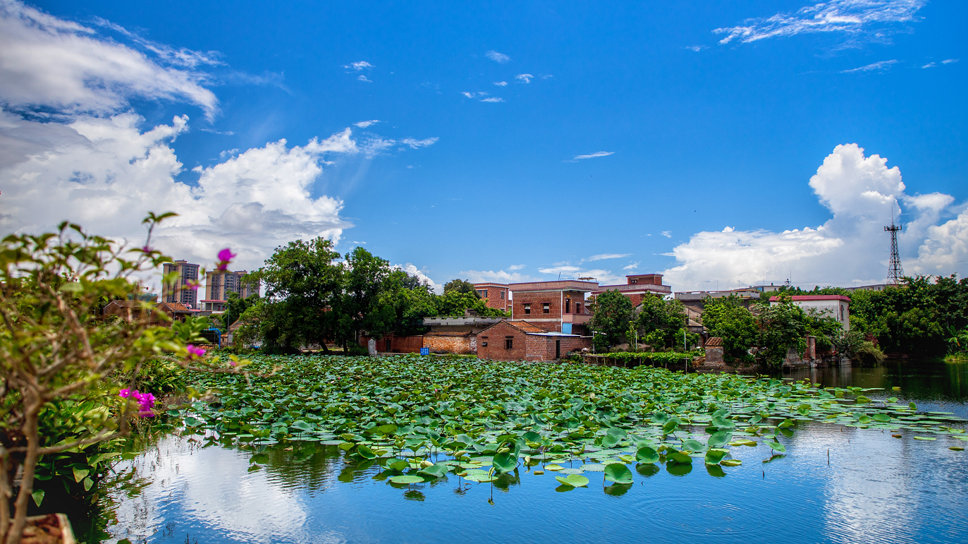 高明不少村居经人居环境整治后，成为令人羡慕的美丽家园。资料图片