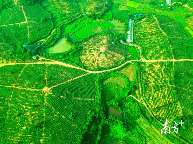 五年来,韶关加强生态文明建设,粤北生态屏障更加牢固。