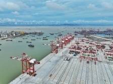 港口的24小时与千年 | 南沙港区正成为“立体式”交通枢纽