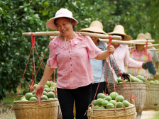 时光印迹：五年来，广东这样庆祝“中国农民丰收节”
