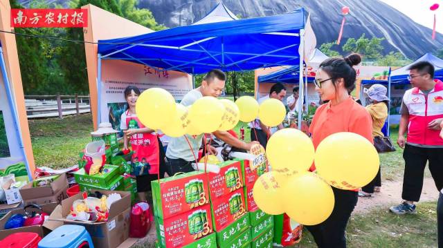 南方农村报 杨雪2 拍摄