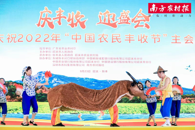 南方农村报 杨雪2 拍摄