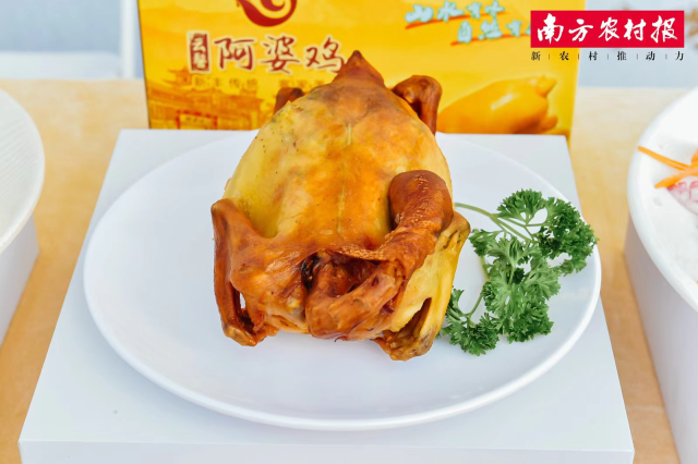 南方农村报 杨雪2 拍摄