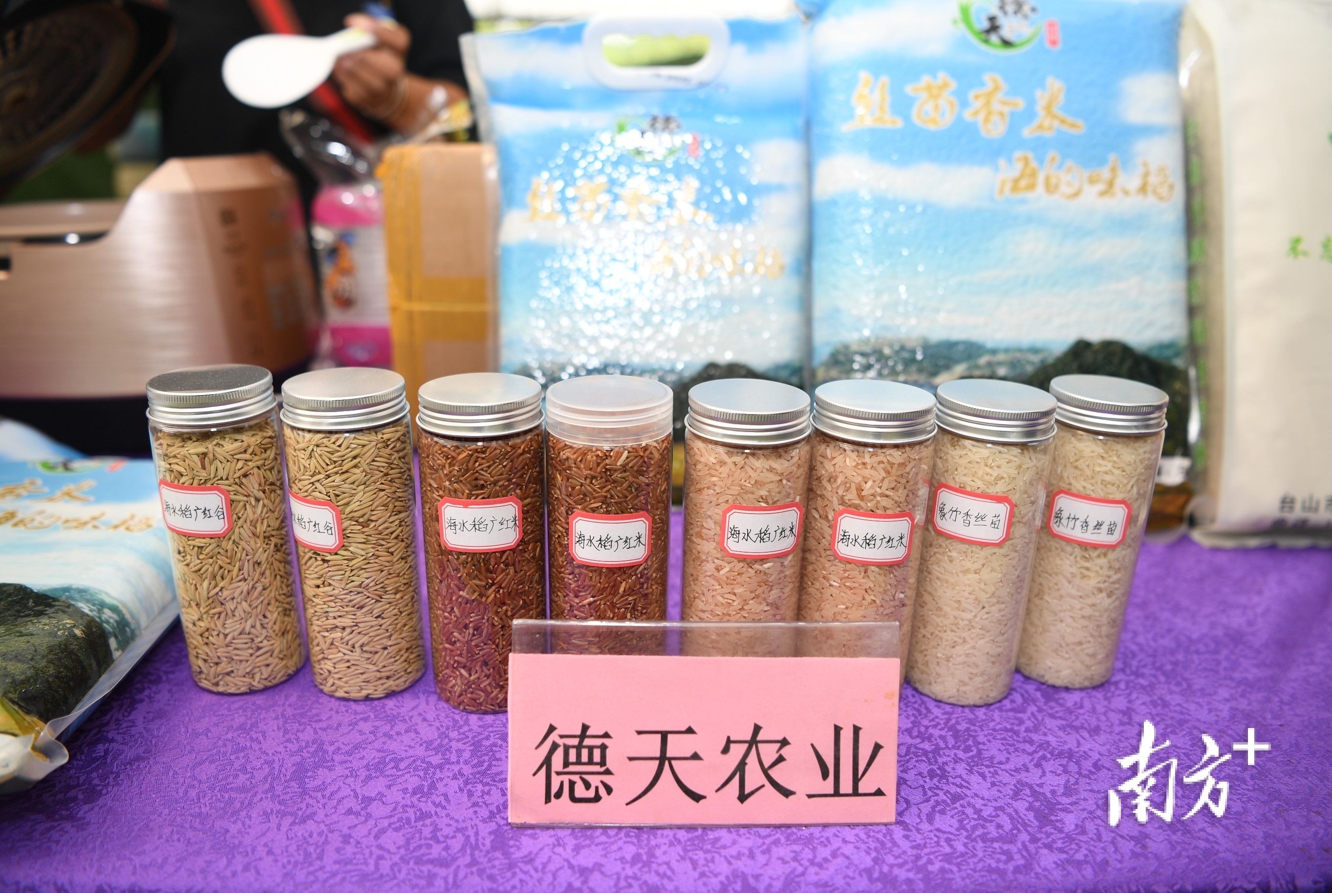 江门出产的多种稻米。  南方+ 杨兴乐 拍摄