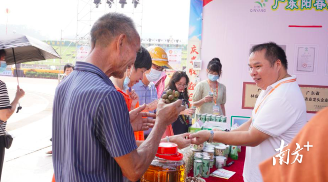 丰收节里话丰收,夏威夷果“上新”受热捧 | 阳春市夏威夷果产业园系列报道⑨