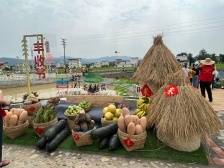 杨阿洋快评丨“丰”景里的广东