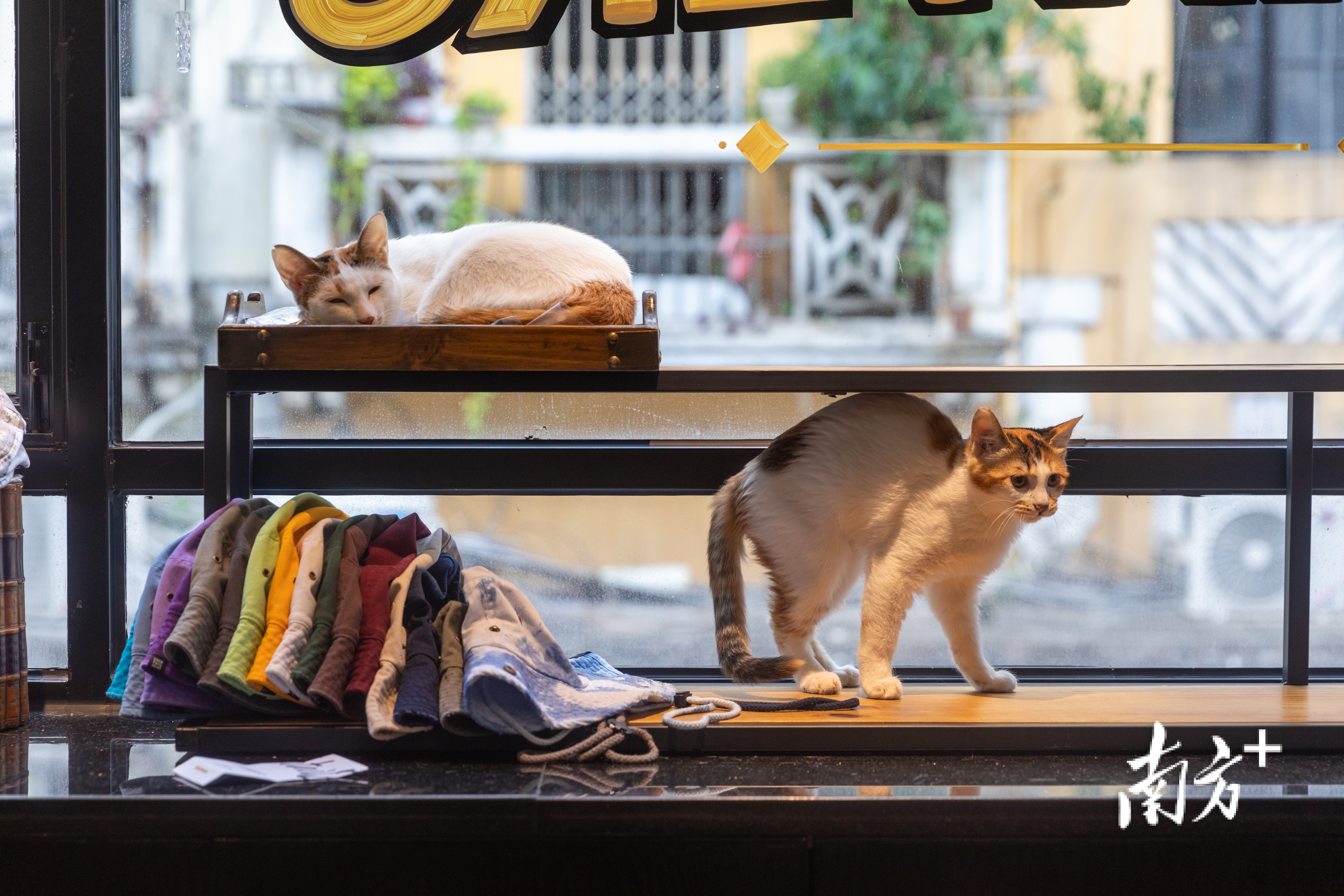    南方+ 罗一飞 拍摄