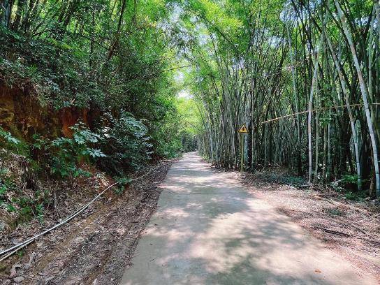 古蚕村“生命通道”实现硬底化,村民出行更加便利。 古蚕村“生命通道”实现硬底化,村民出行更加便利。