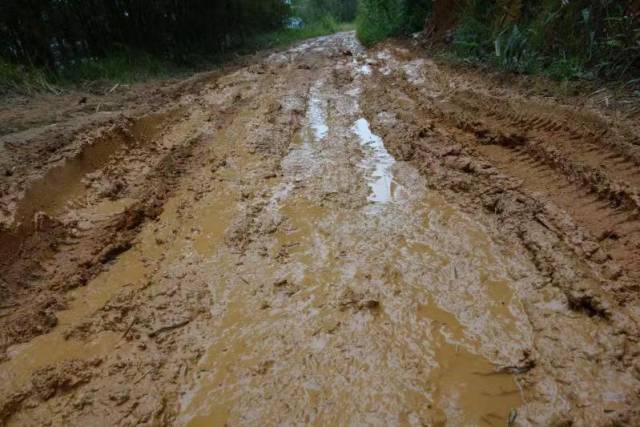 2014年以前,古蚕村村民出村的道路泥泞不堪,下雨天寸步难行。 2014年以前,古蚕村村民出村的道路泥泞不堪,下雨天寸步难行。