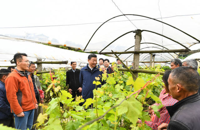 ↑2021年4月25日，習(xí)近平在廣西桂林市全州縣才灣鎮(zhèn)毛竹山村，走進(jìn)葡萄種植園，同農(nóng)技人員和村民親切交流。