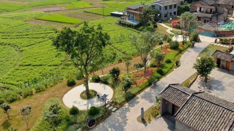 18万公里农村公路，铺就乡村振兴康庄大道 | 广东三农这十年
