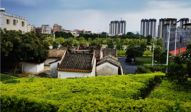 南方农村报 杨雪2 拍摄