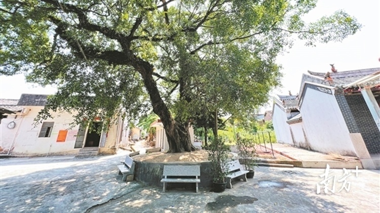 南方+ 陈仕亮 拍摄