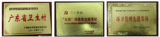 南方农村报 杨雪2 拍摄