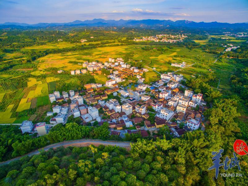 官圩金西全景