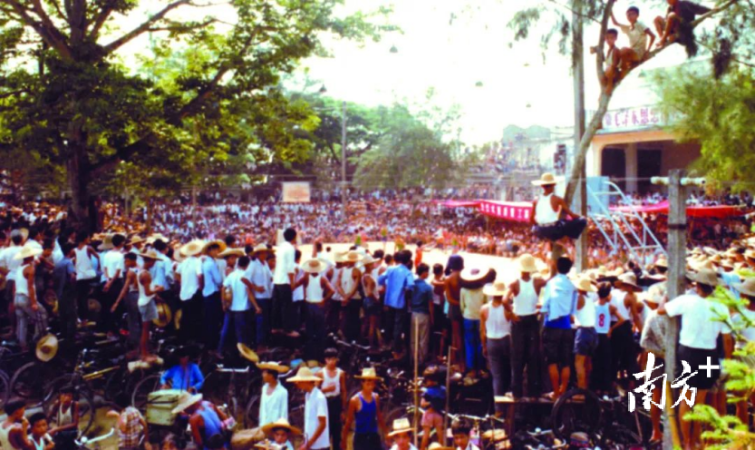 20世纪70年代，常平镇一场篮球比赛上有人爬上树观看。