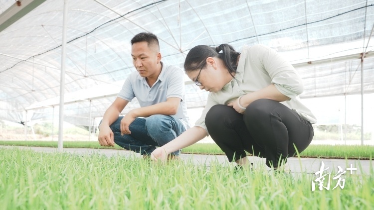 南方+ 陈仕亮 拍摄