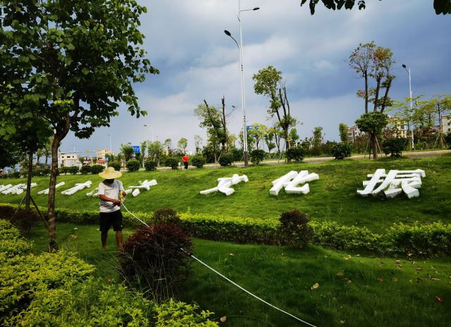 南方农村报 杨雪2 拍摄