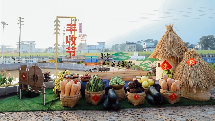 市委书记话丰收，都说了啥？| 市委书记抓乡村振兴（2022.09.19-09.25）