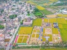 乡村全面振兴，广东再踏新征程