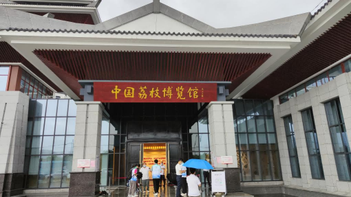 多彩乡村调研进行时⑥