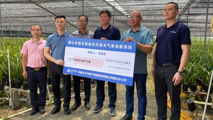 告别“看天吃饭”“价贱伤农”！农业保险为产业发展保驾护航 ｜ 广东三农这十年